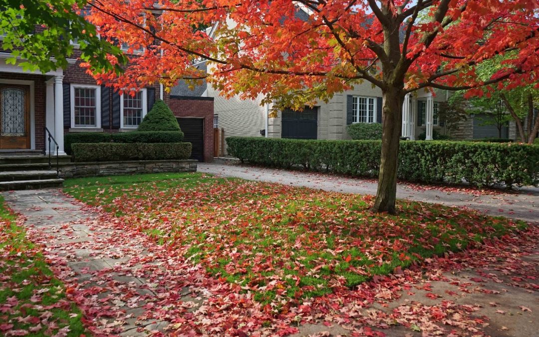 Fall Home Maintenance Projects