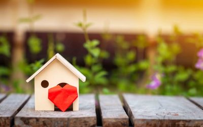 Balancing the Emotional and Practical Sides of Buying a Home