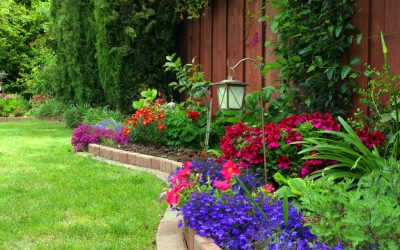 Cleaning Tips for Instantly Improving Curb Appeal